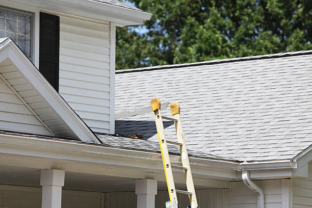 Best Brick Veneer Siding  in Archdale, NC