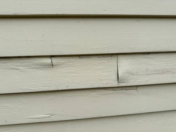 Best Steel Siding Installation  in Archdale, NC